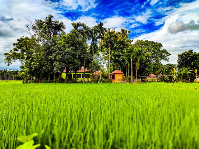 This photo is of my village house.  Our village is very beautiful.