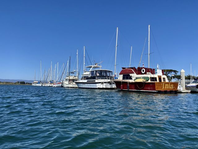 Kayaking past the Elkhorn Yacht Club in Moss Landing California 