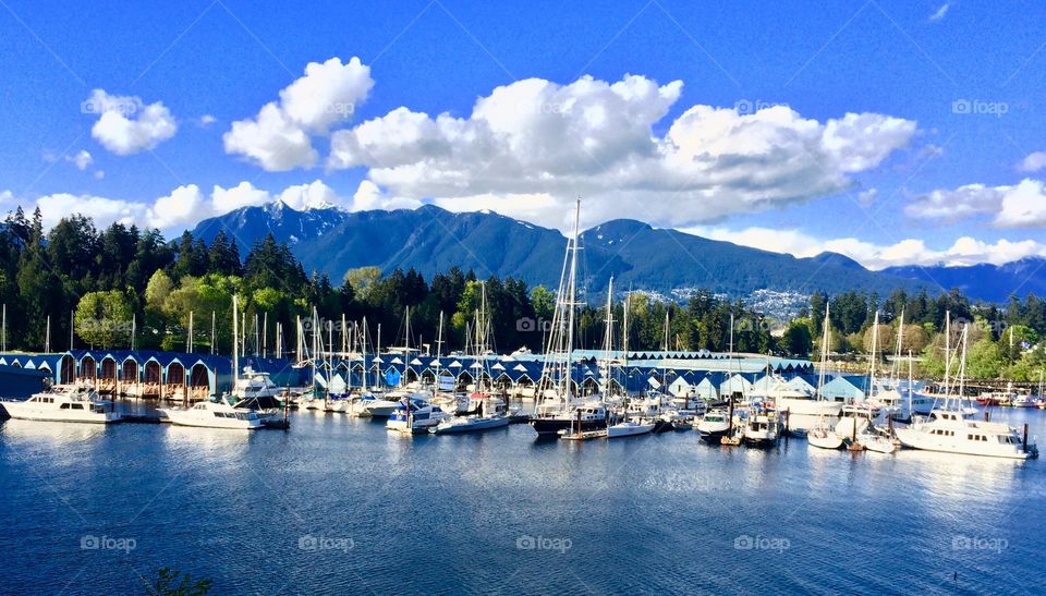 Stanley Park and Coal Harbour views, Vancouver BC