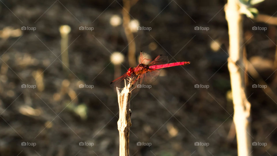 After work need some rest