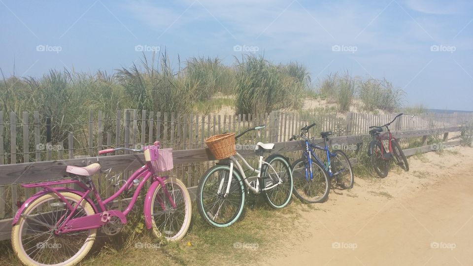 bicycles by dunes