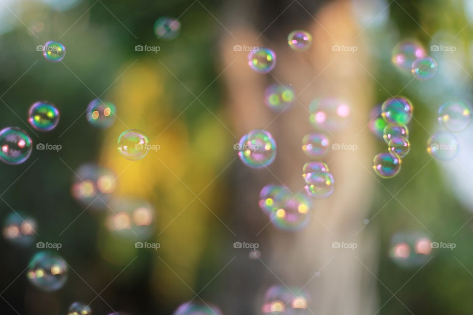 Bubble 