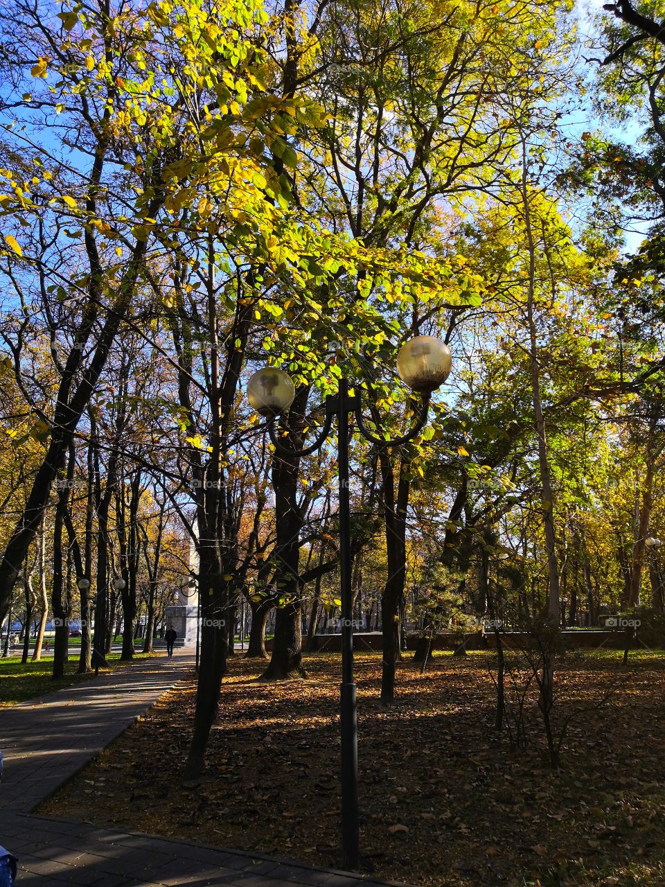 City park