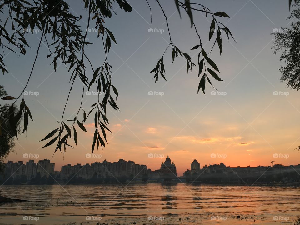 Water, Nature, Tree, Sky, Dawn