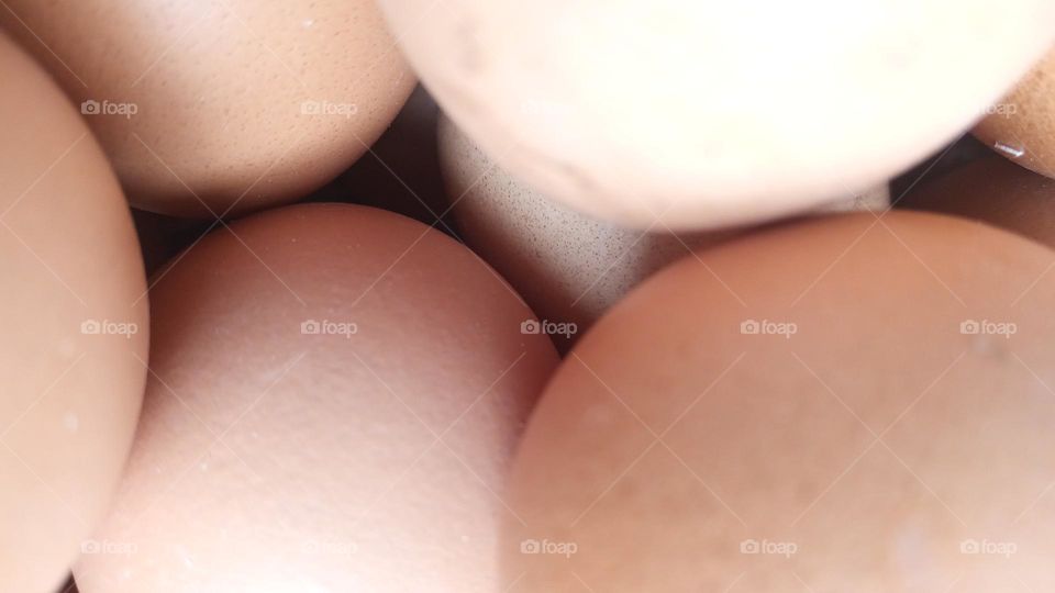 chicken eggs