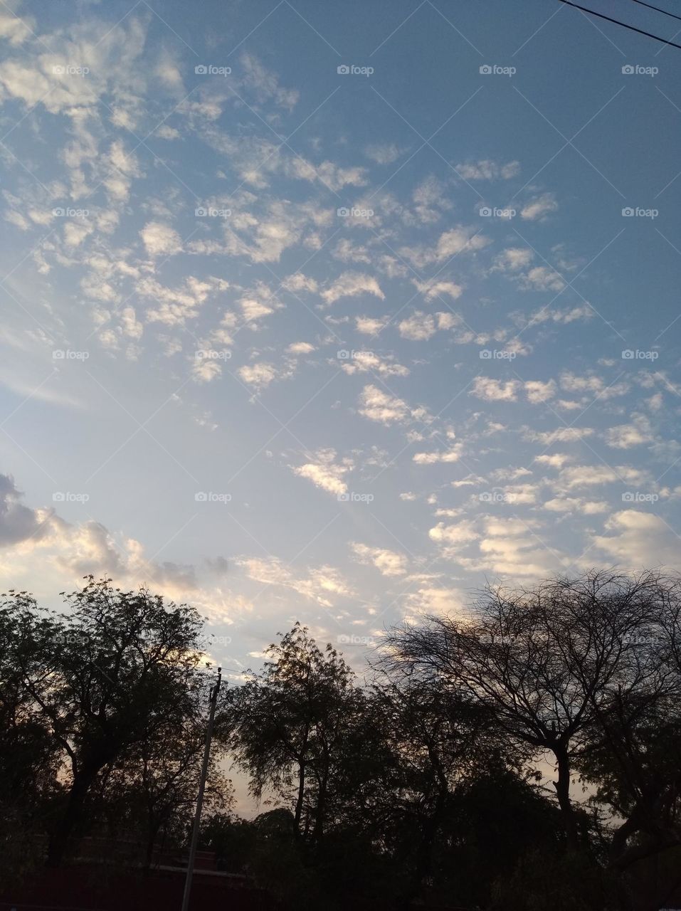 a shiney day white clouds in blue sky whitish cloud scattered dark tree looks very beautiful