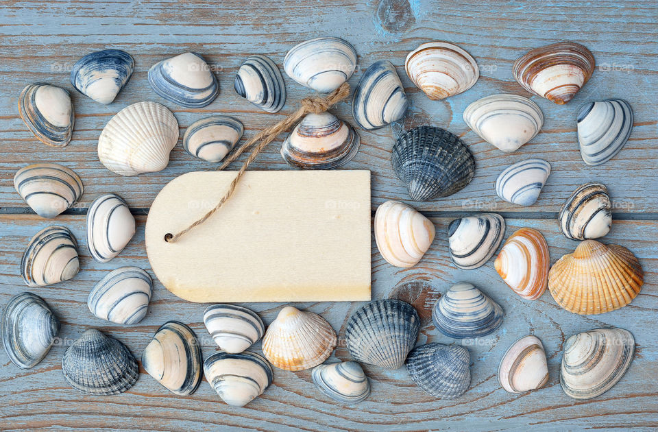 striped sea cockle shells on a beach wooden background with a empty copy space tag made of wood