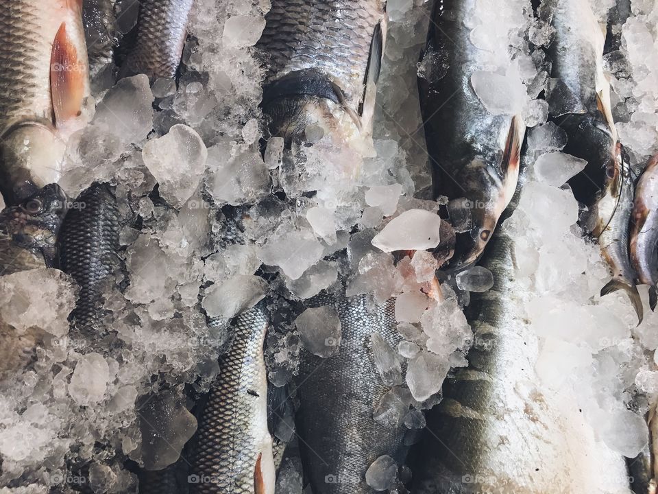 Fishes on ice in market for sale