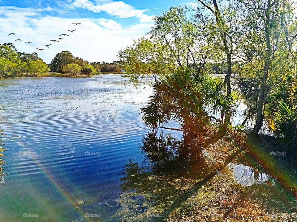 Lakeside view