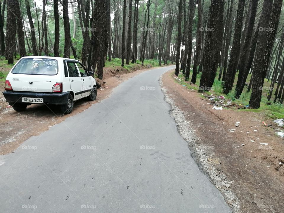 Beautiful way in between forest, car is ready for their destination.