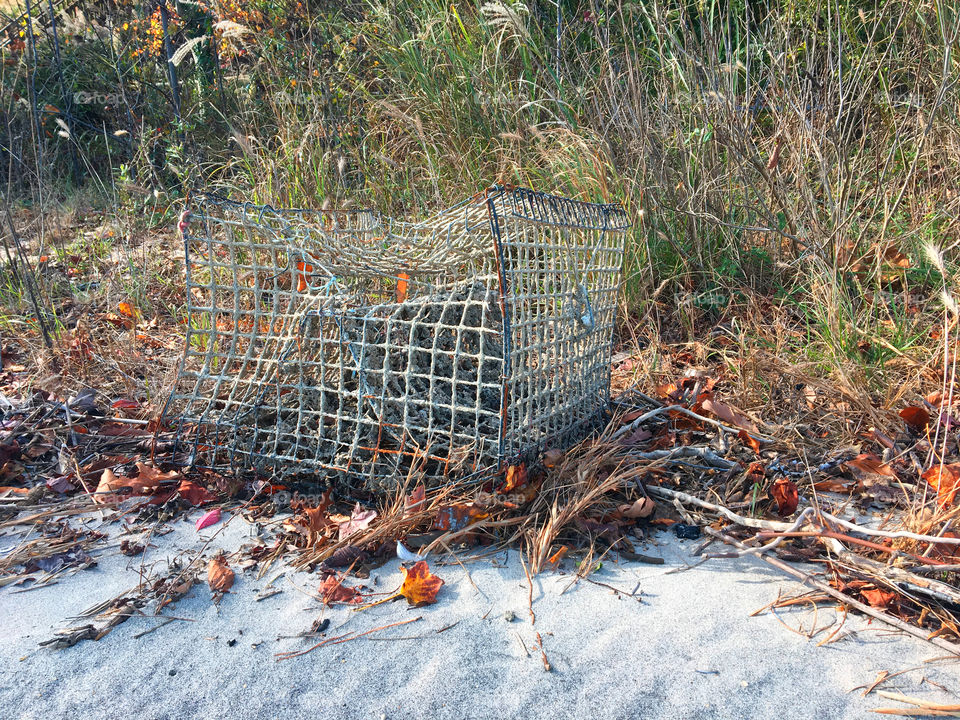 Crab trap on a Chesapeake Bay beach in autumn