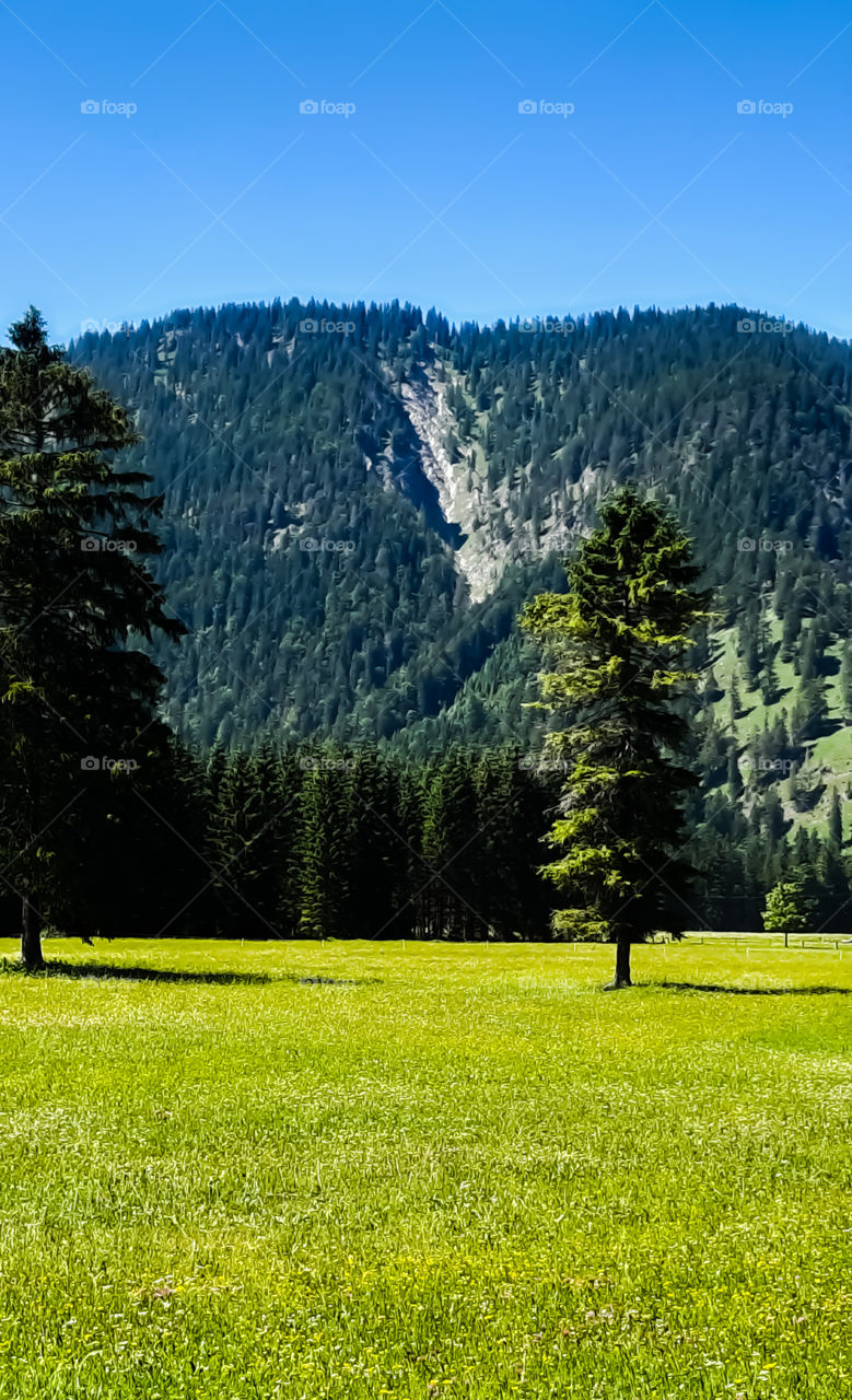 plansee tirol Austria