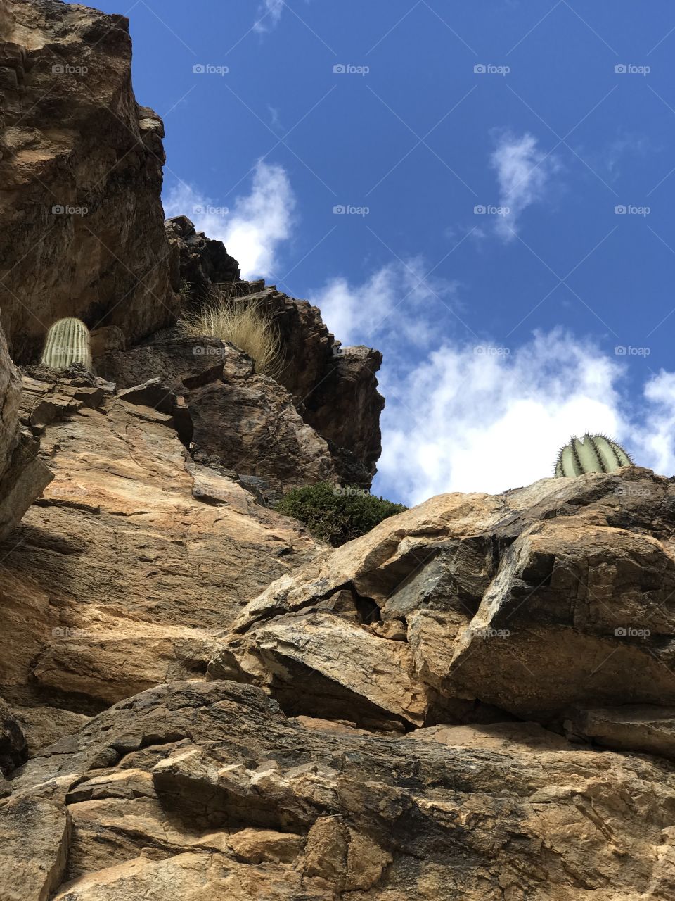 Mountain Landscape - Tucson, Arizona 