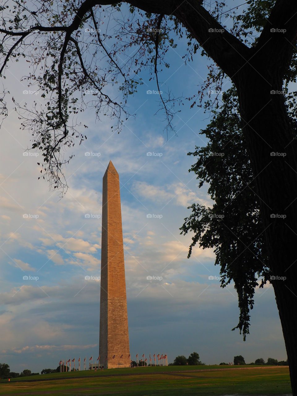 Washington DC monument monolith obelisk 