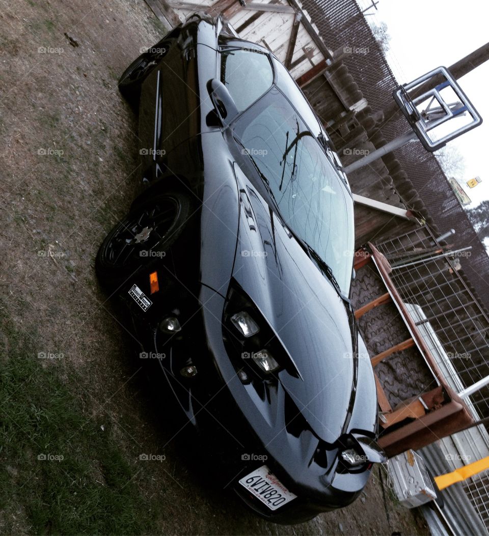 She's not perfect, but she makes life worth it...