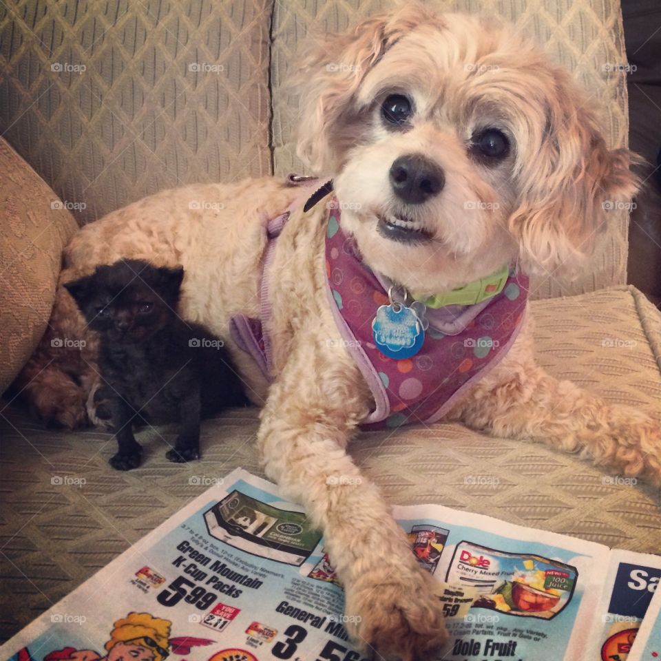 Zoe and baby Liam Toodles. Did you say you couldn't read the paper without your coffee?  Let us help!