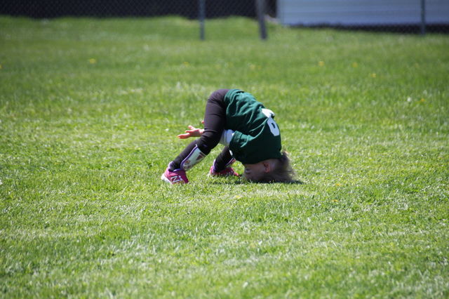 grass
