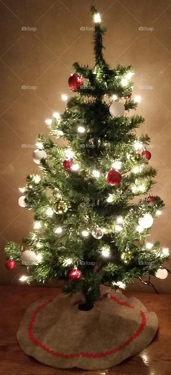 Tiny little Christmas tree