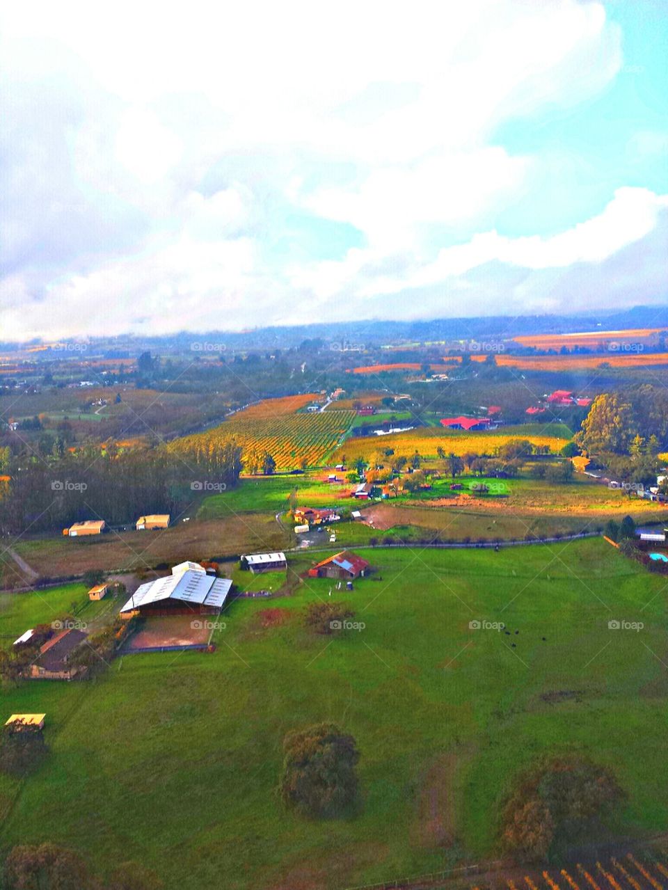 "Santa Rosa Vinyards"