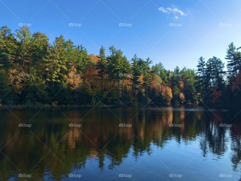 Beautiful landscape of colourful Fall trees reflecting off a lake