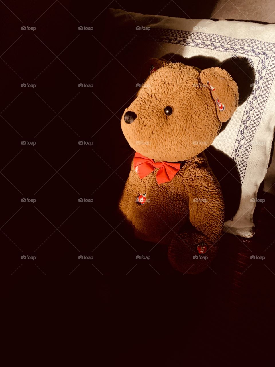 Cute teddy bear caught in a moment of light that gives it a fascinating and mysterious look