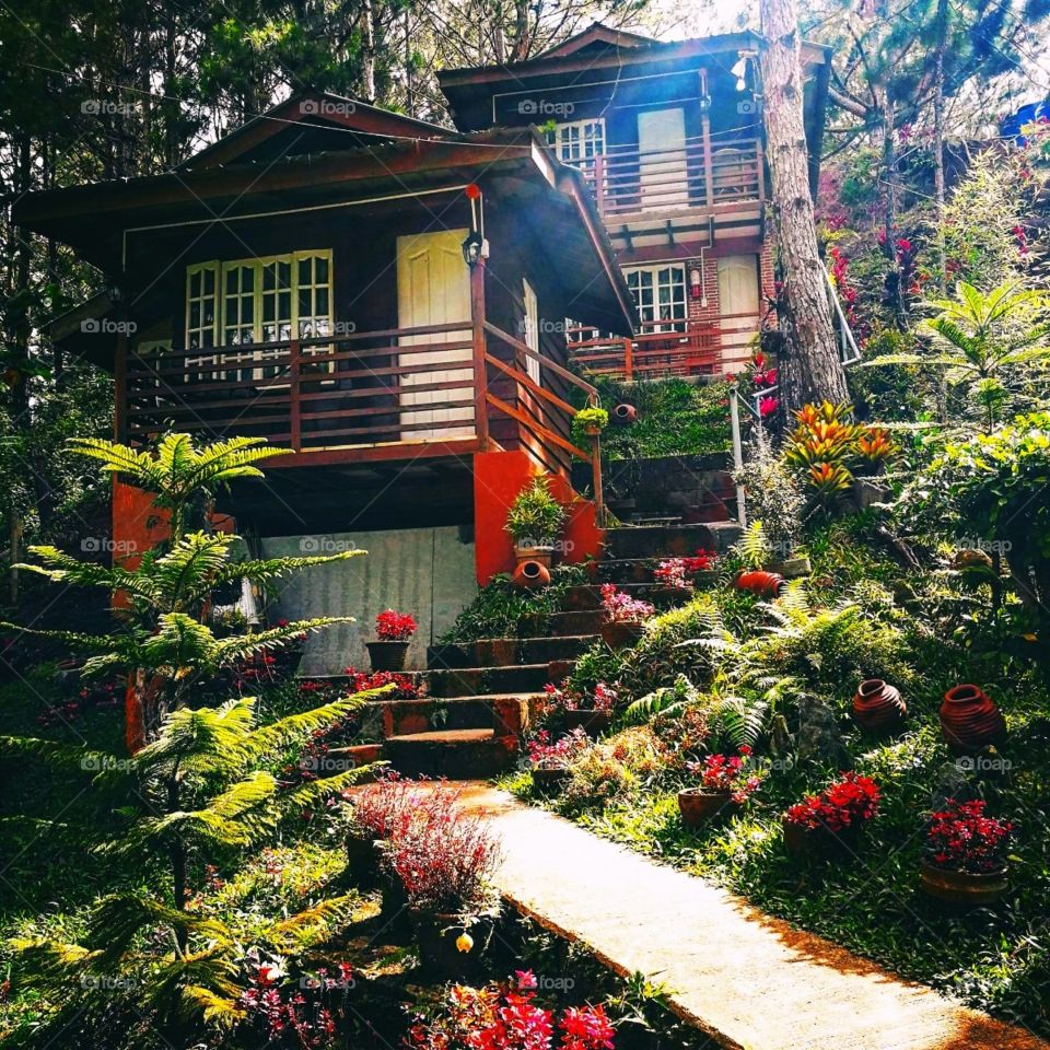 colorful cabin with beautiful flowers