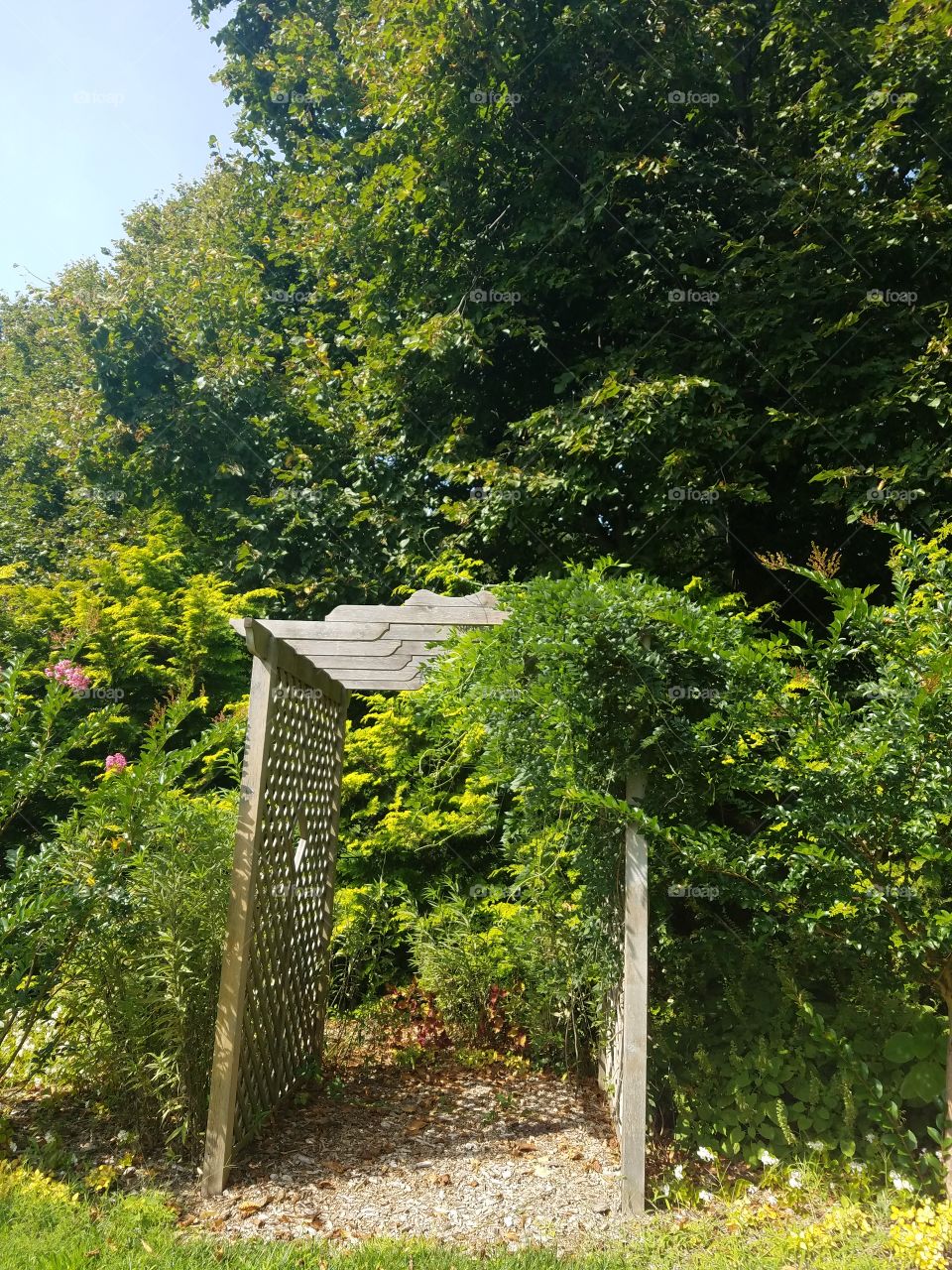 Planting Fields Arboretum State Park, Oyster Bay, NY - August 2017 - Taken on Android Phone - Galaxy S7 - Exploring the Grounds on a Lazy Sunday near the end of Summer