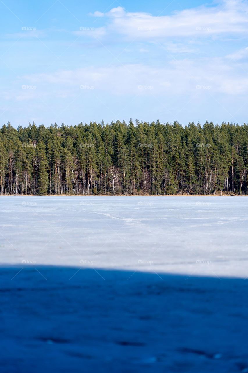 Blue sky above green forest and white ice.