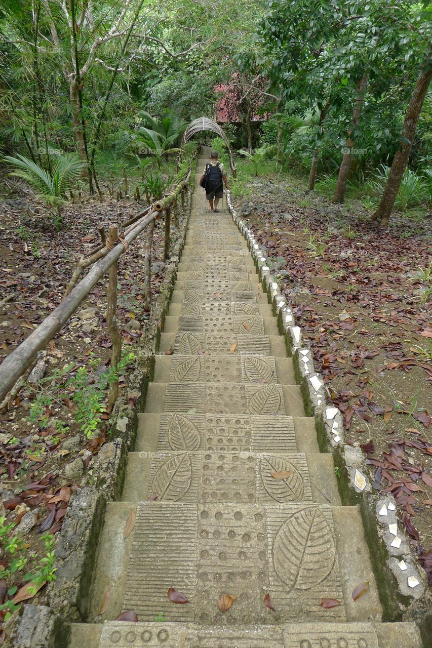 Stairway to Jungle