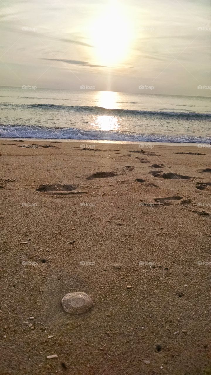 jelly steps. sunrise in Nags Head, NC.