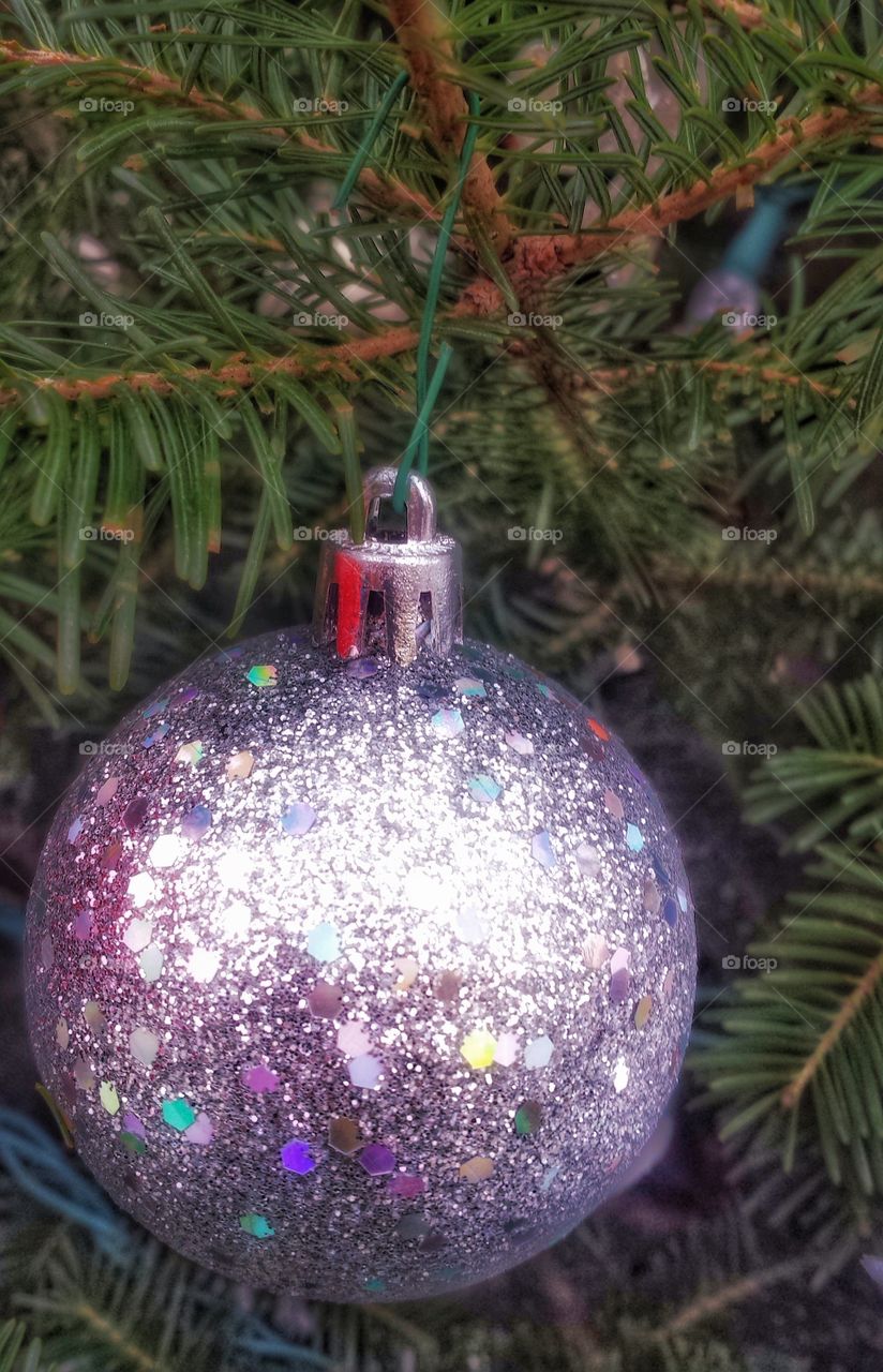 Sparkly Ornament