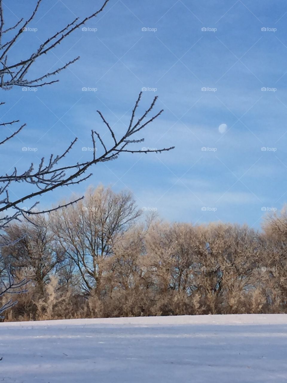 Icy Moon Setting