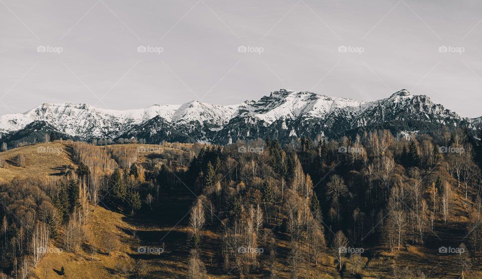 First Snow on the mountain peaks