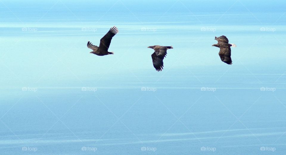 Hasslö, Blekinge Sweden