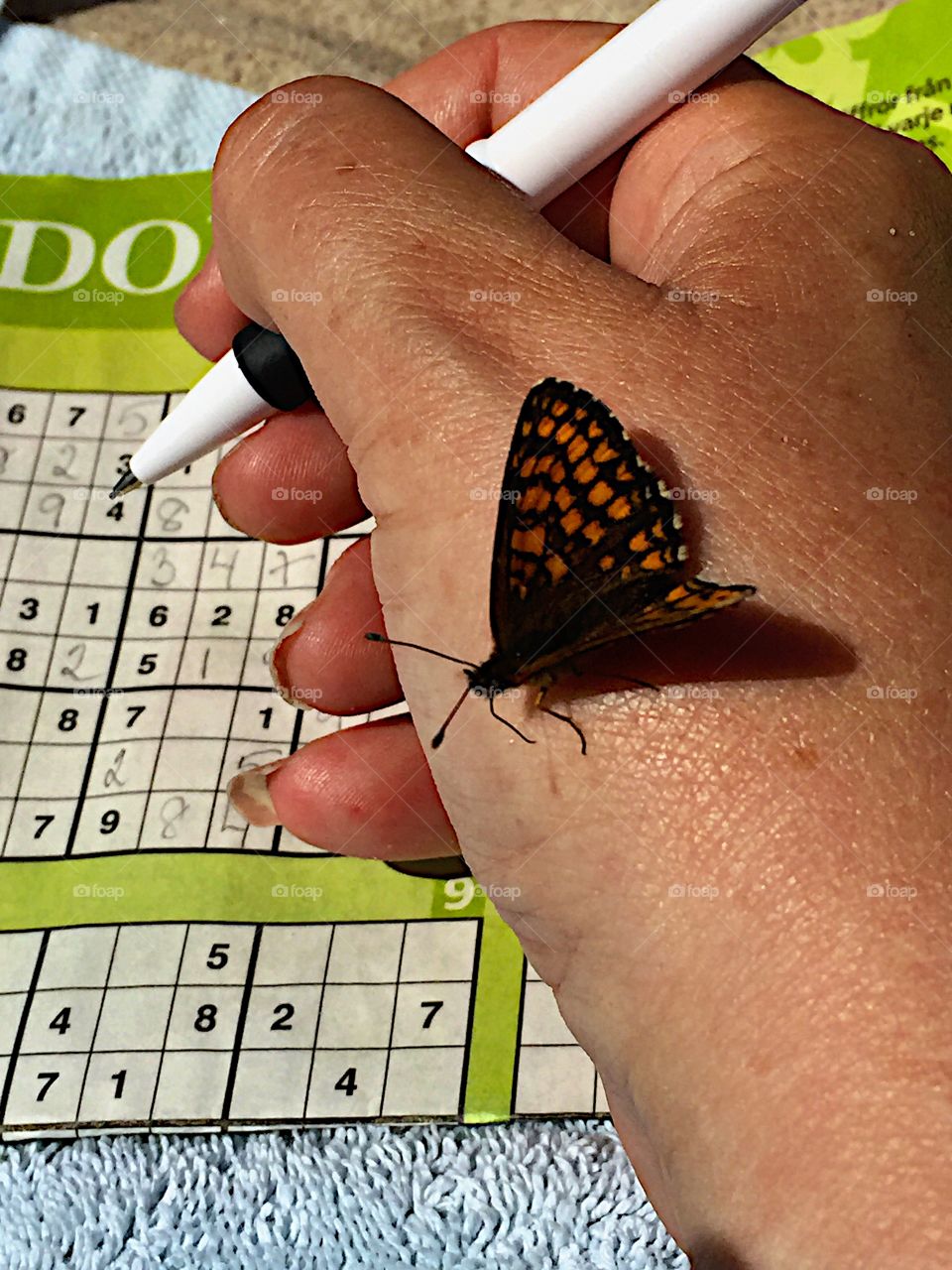 The butterfly sitting on my hand! 