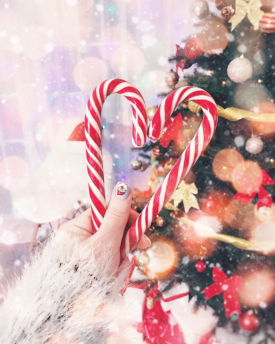 Christmas photo with candy Ana Christmas tree