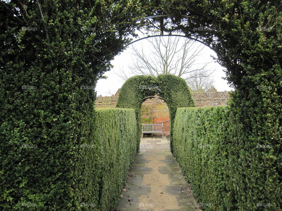 Hedge, Garden, Topiary, Lawn, No Person