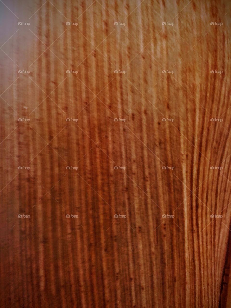 Art Pattern Of Plant