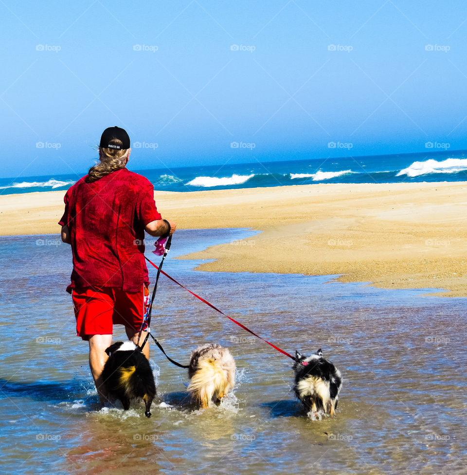 Man walking his three dogs at the beach.