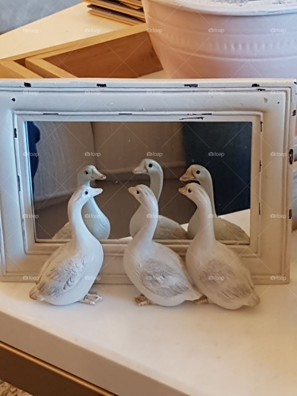mirror birds