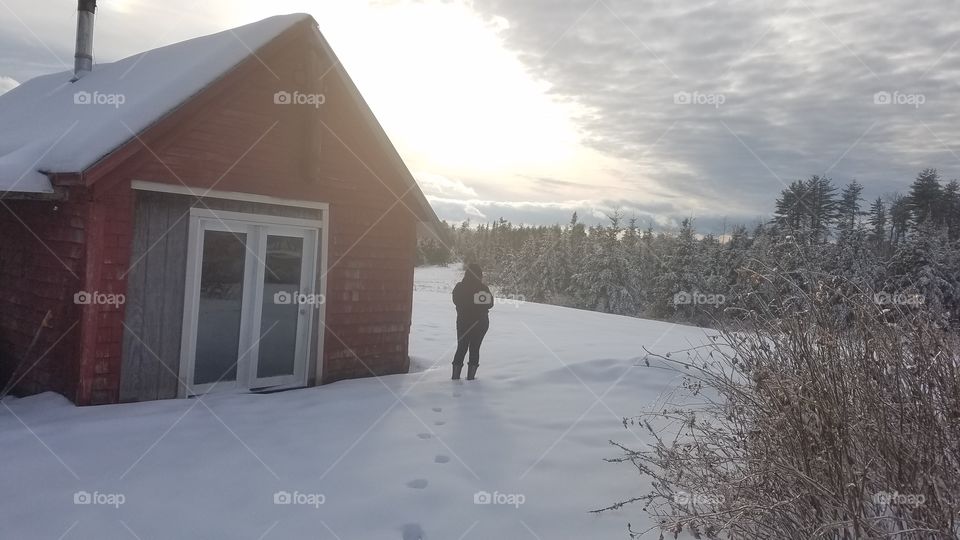 Snow, Winter, Cold, Ice, Frost