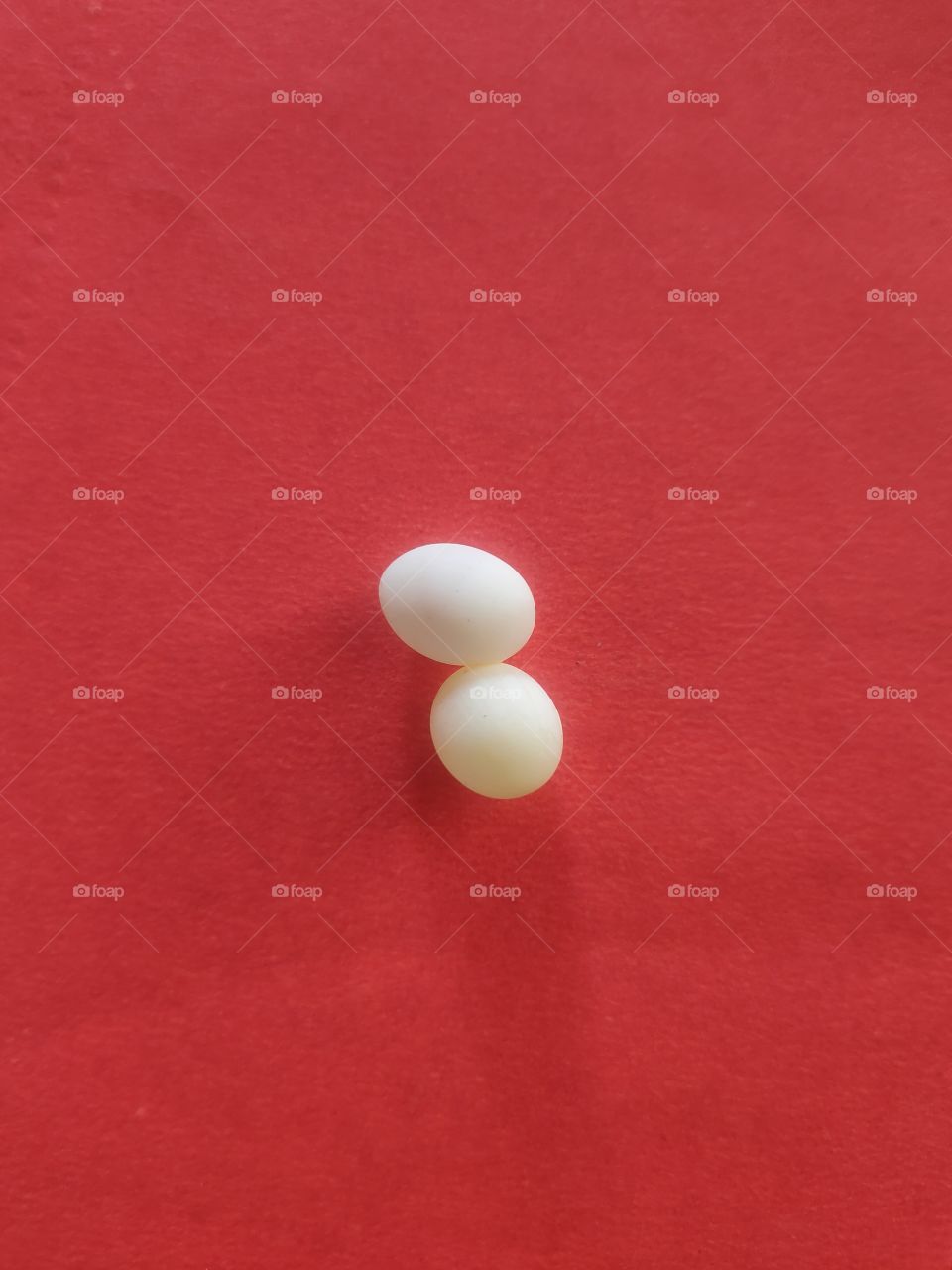 seeing in circles - Lizard eggs