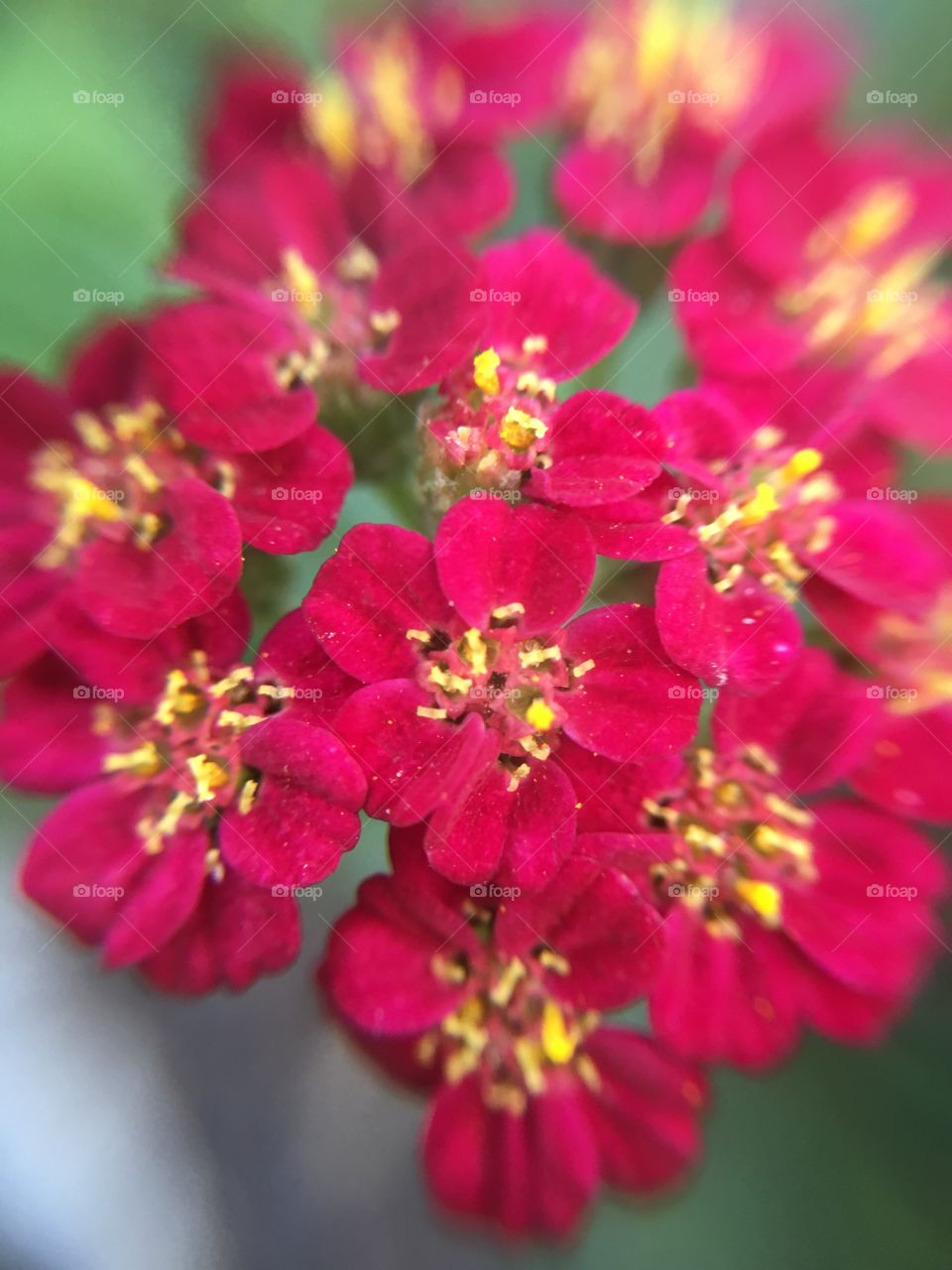 Tiny closets closeup 