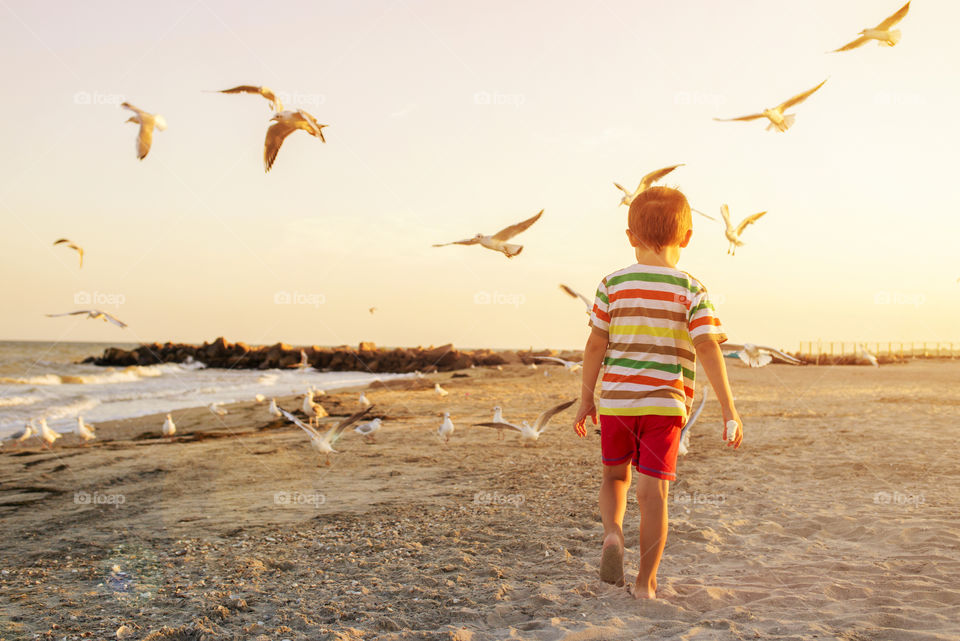 Kid running at the beach by background of orange sunset and flying seagulls