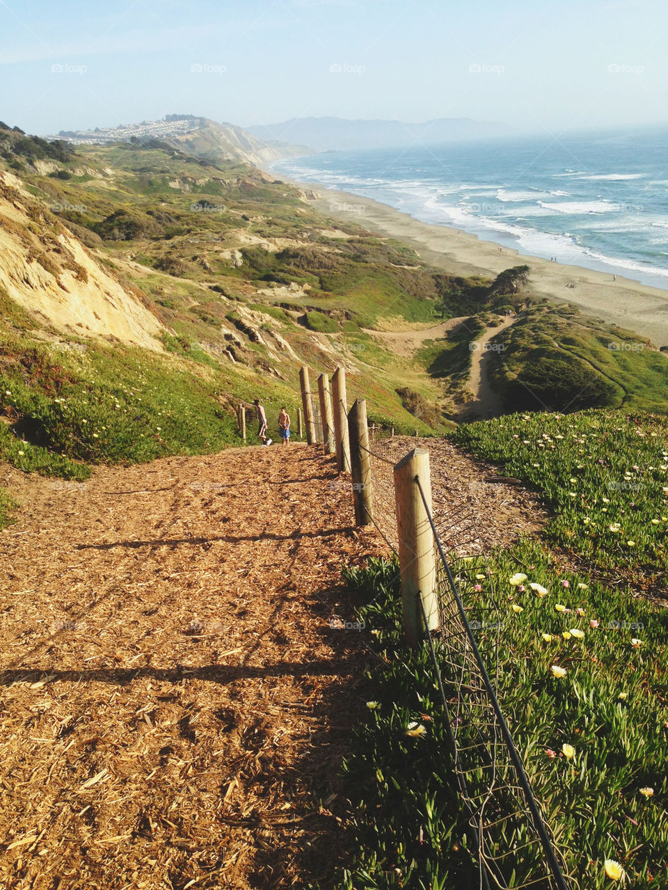 GREEN HILLS OVERLOOKING COAST