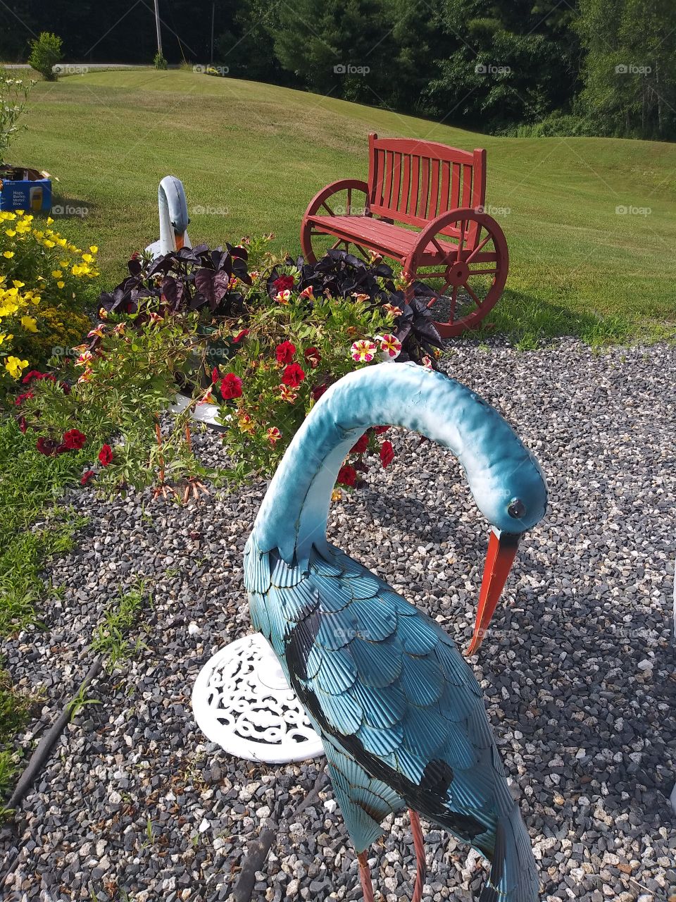 lawn bird in garden