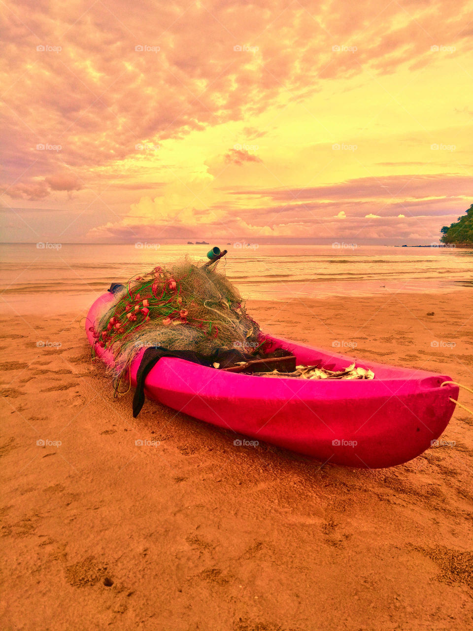 Fantastic fishing on Mars