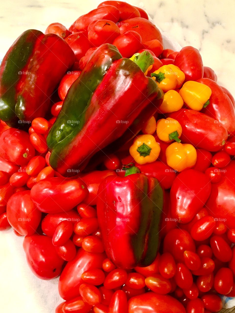 Deliciously vibrant peppers and tomatoes picked fresh from our backyard vegetable garden for a local restaurant 