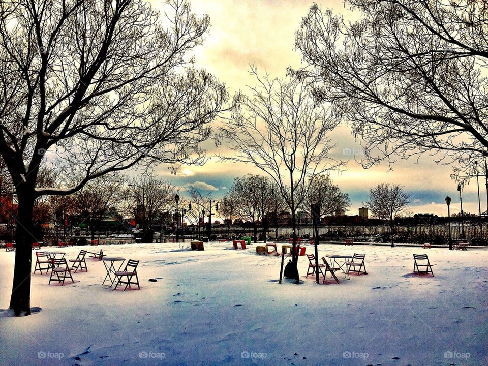 Snow Covered Park