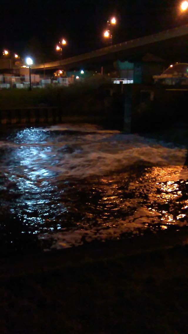 City lights reflecting off the water